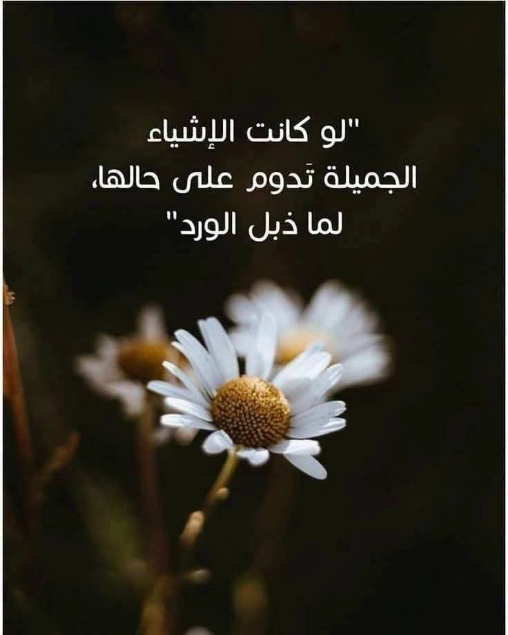 wamcxo's tweet photo. https://t.co/Bn6C1kRtPt