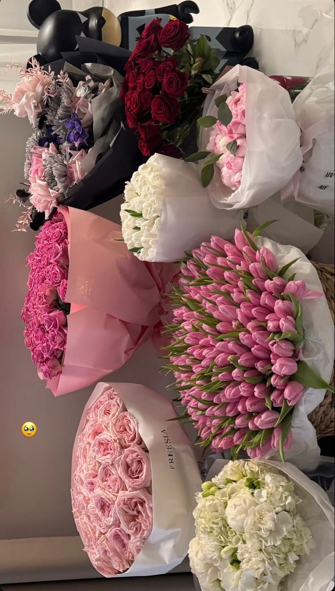 flloverland's tweet photo. https://t.co/MBdAyMfjyv