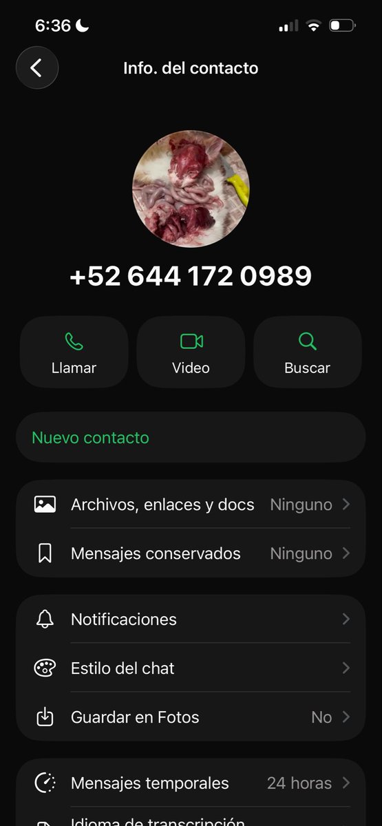 viittoli's tweet photo. Hola ‼️ reporten a este matagatos, ojalá el puto este haya registrado su línea para q lo agarren por enfermo 
+526441720989
TW: imagen fuerte, es lo que quedó del pobre animalito 😕 https://t.co/LkwW5z24b3