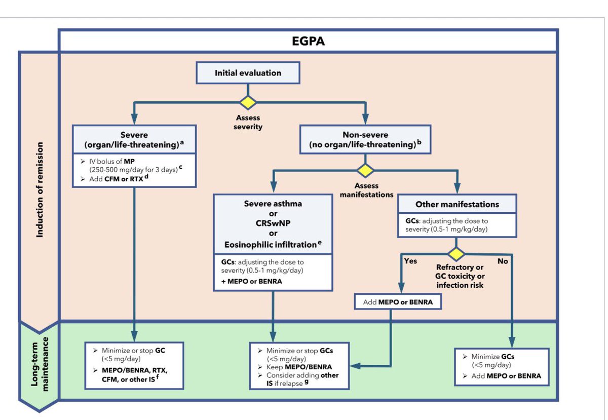 hanadymanasfi's tweet photo. #EGPA #treatment #eosinophilic #granulomatous #vasculitis https://t.co/4sDGrzZxNM