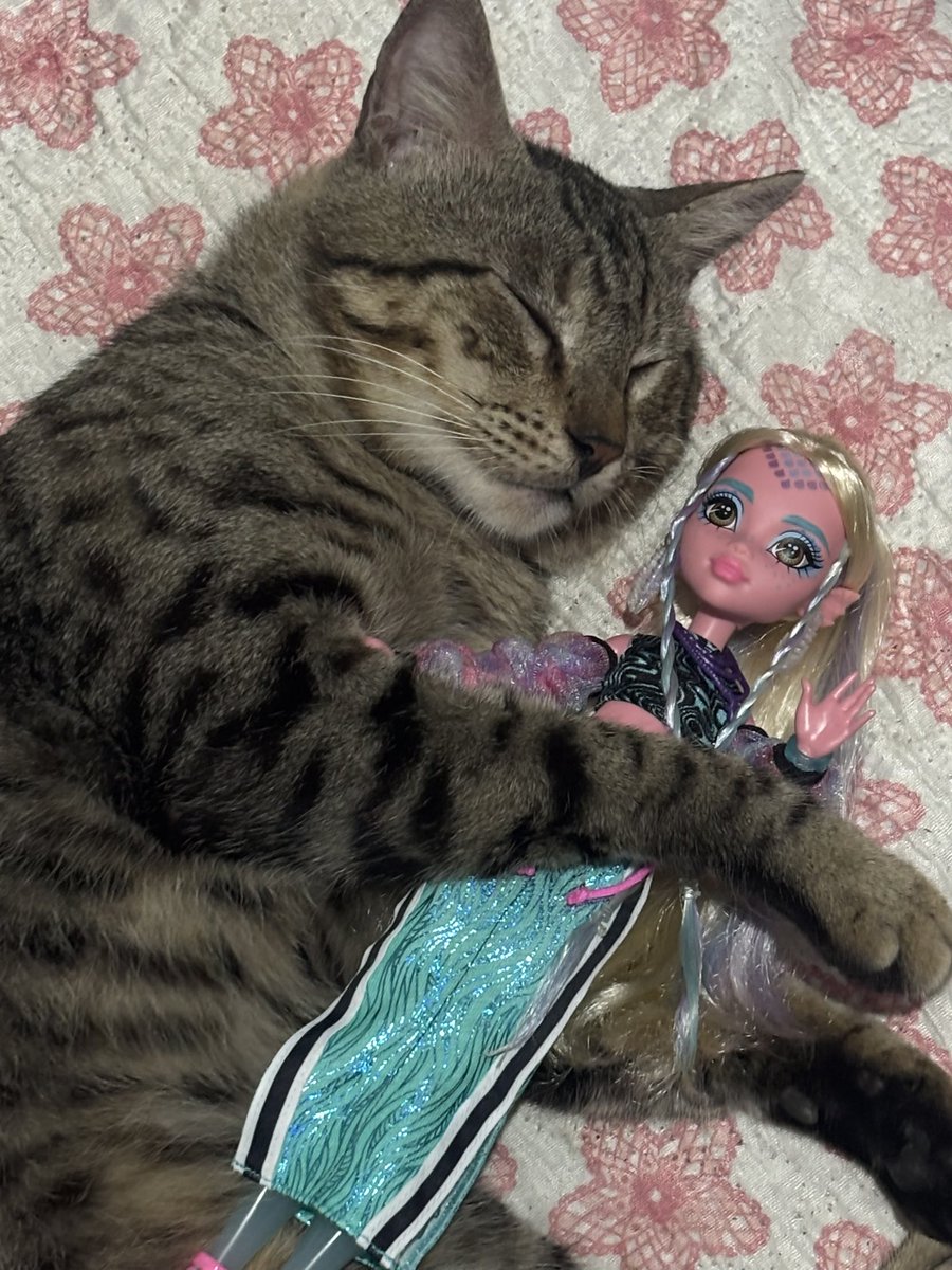 coszmicgirls's tweet photo. miau dormindo com sua lagoona core 2 https://t.co/uLF85SjAbA