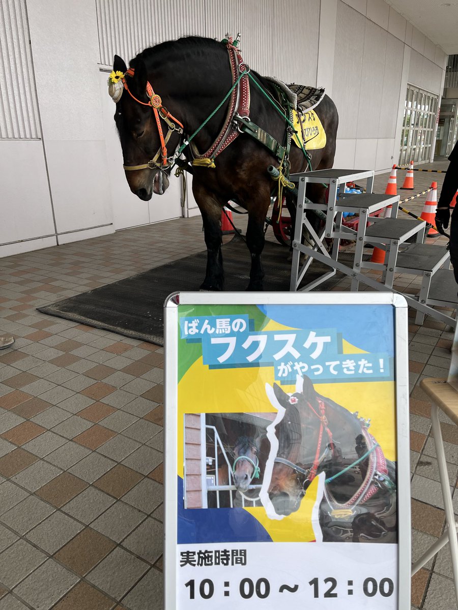 banei_tokachi's tweet photo. フレスポ スズランプラザにフクスケ登場🐴

10時〜12時まで、背中に乗ったりにんじんをあげられます　　　　　　🥕無料です。
遊びにきてね！ https://t.co/c0HcniXl1M