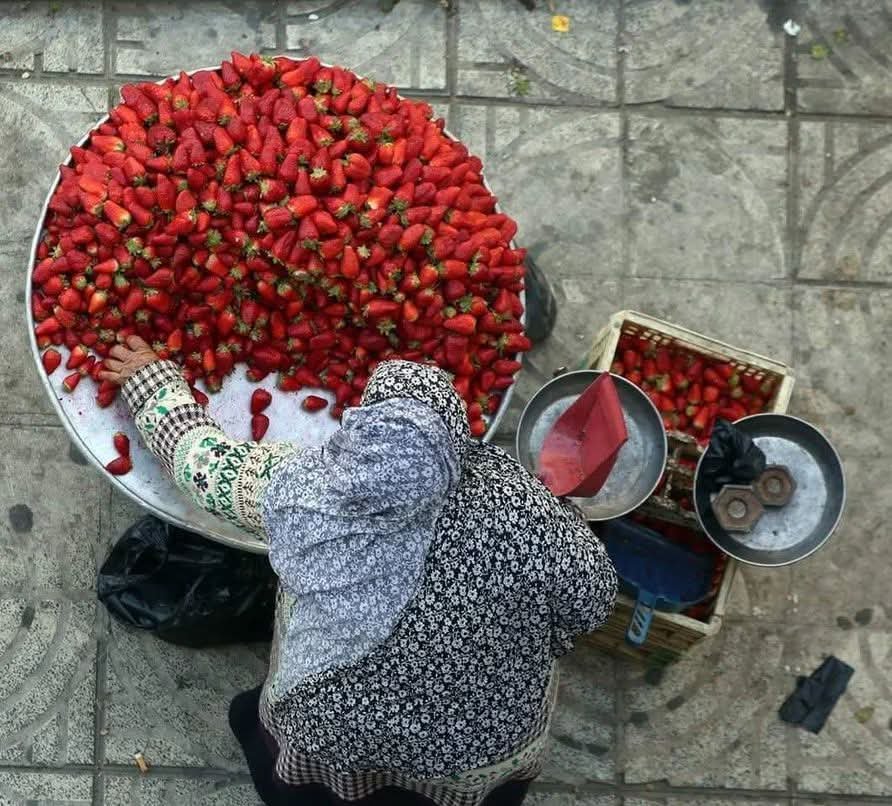 Iman4ii's tweet photo. Strawberry vendor in Gaza, Palestine, January, 2019 https://t.co/K0JLa38sjQ