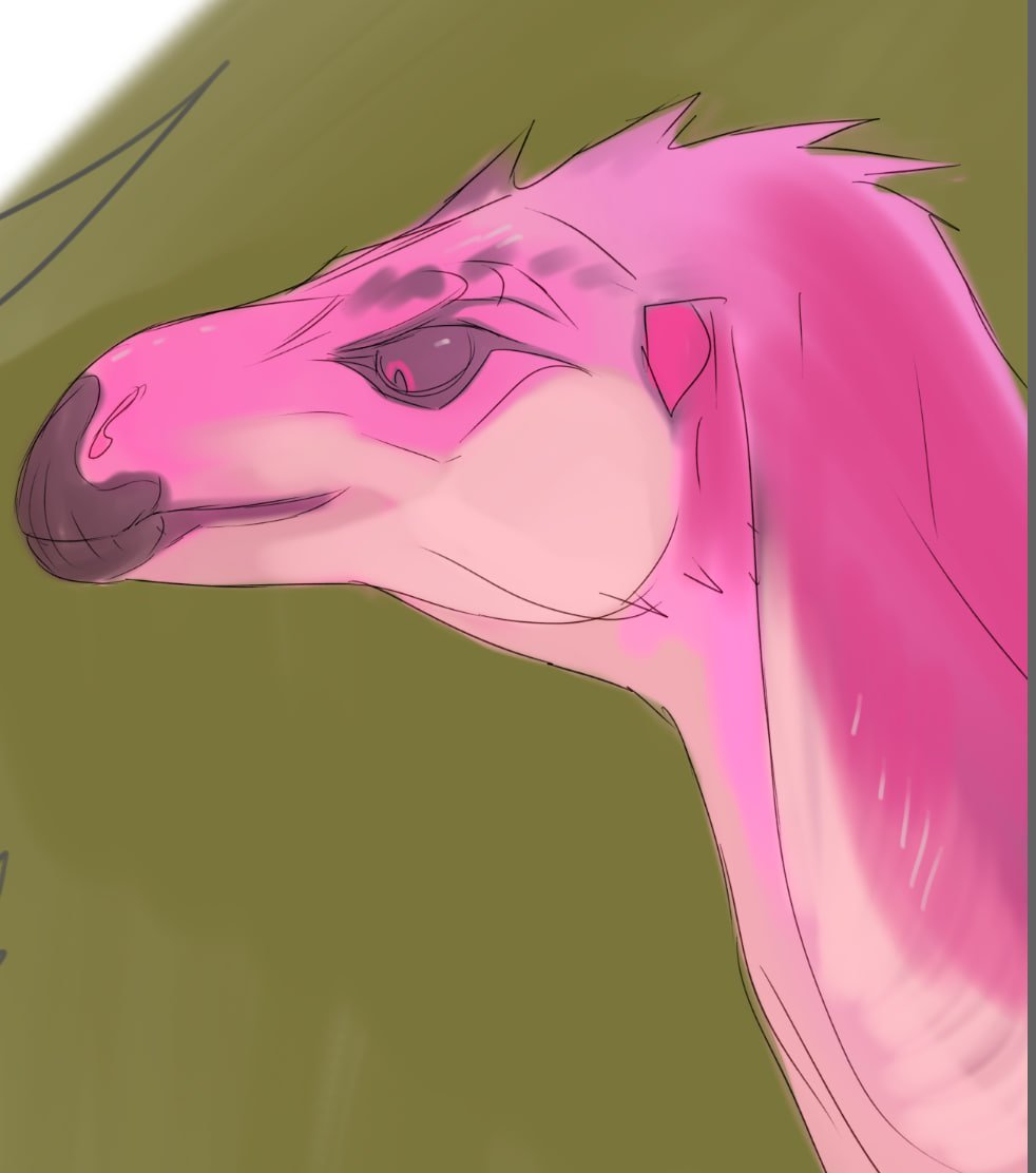 FeurigenSatarh's tweet photo. For some reason I really like this sketch
....
#paleoart #dinosaur https://t.co/OFAvPrklPI