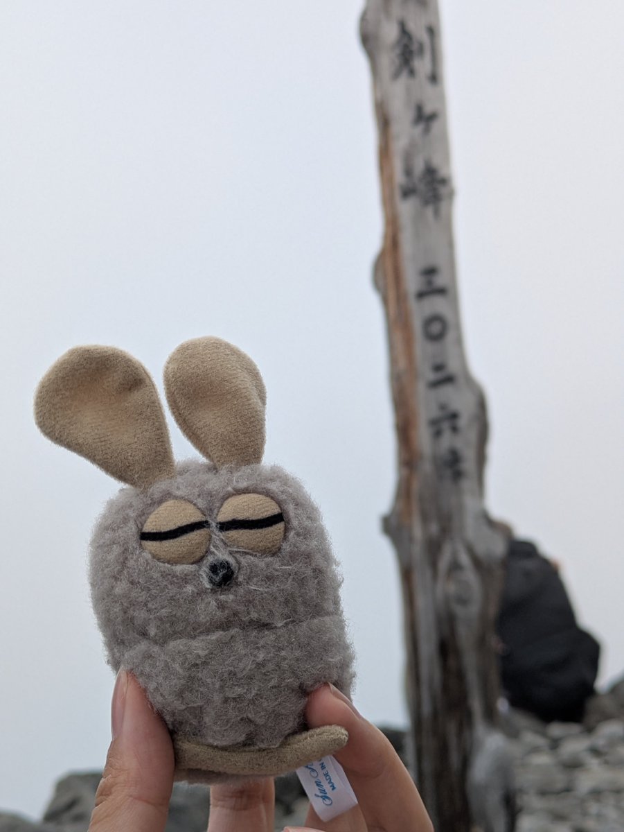SaruWorishimo's tweet photo. ライチョウいたよ、ラッキー https://t.co/OuS8eRAHwe