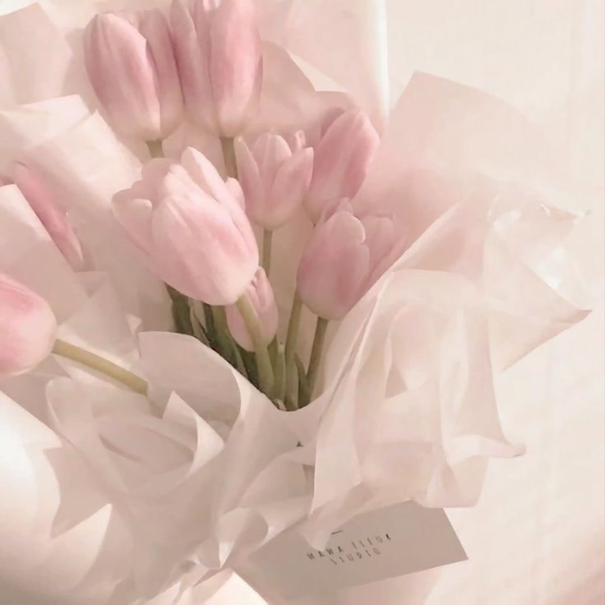 nf_lynnieloves's tweet photo. Hii. Not new to #nsfwtwt just updating pin. ₊˚⊹ᰔ

⊹₊˚‧︵‿₊୨ᰔ୧₊‿︵‧˚₊⊹

⋆𐙚 ̊.  22 
⋆𐙚 ̊.  She/her
⋆𐙚 ̊.  Sub
⋆𐙚 ̊.  Loves praises/complements
⋆𐙚 ̊.  Soft and some hard kinks, but aftercare is a must. 

⋆𐙚 ̊.  Links to my sites ⟶ https://t.co/CB2wYcMM2P

⟳ rt and follow for moots