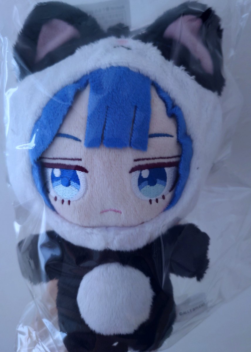 ndustcell's tweet photo. 届いてたー！！
EMAさんぬいかわいい

 #DUSTCELL 
 #DCGOODS 
 #EMNE https://t.co/ZFB9sA5tcZ