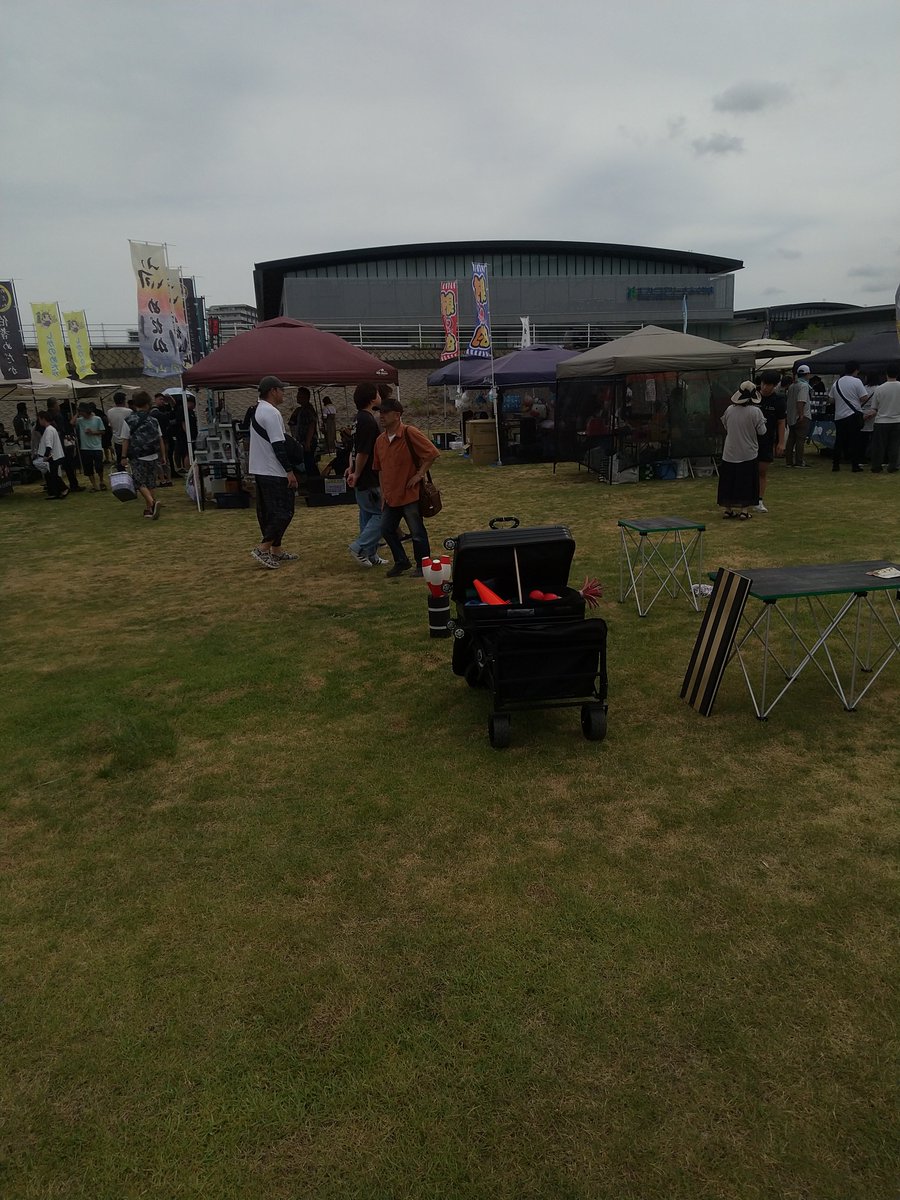neko1177R's tweet photo. 福山メダカフェスに、猫が来た‼️ https://t.co/aUKrs7YkAN