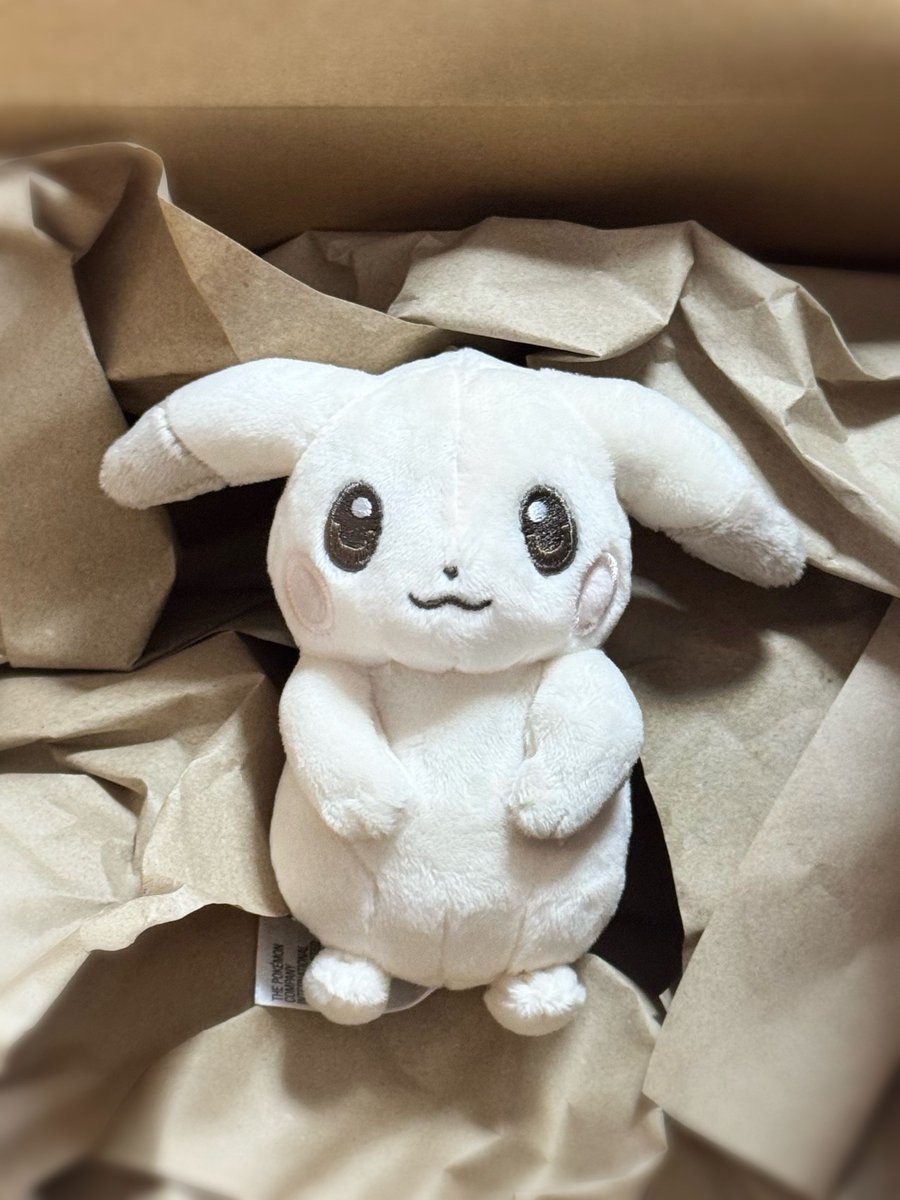 bsaa_com's tweet photo. 左腕で殴ってきそうなうすピカ様が届きましたわ💓 https://t.co/UJXPxkPBf0