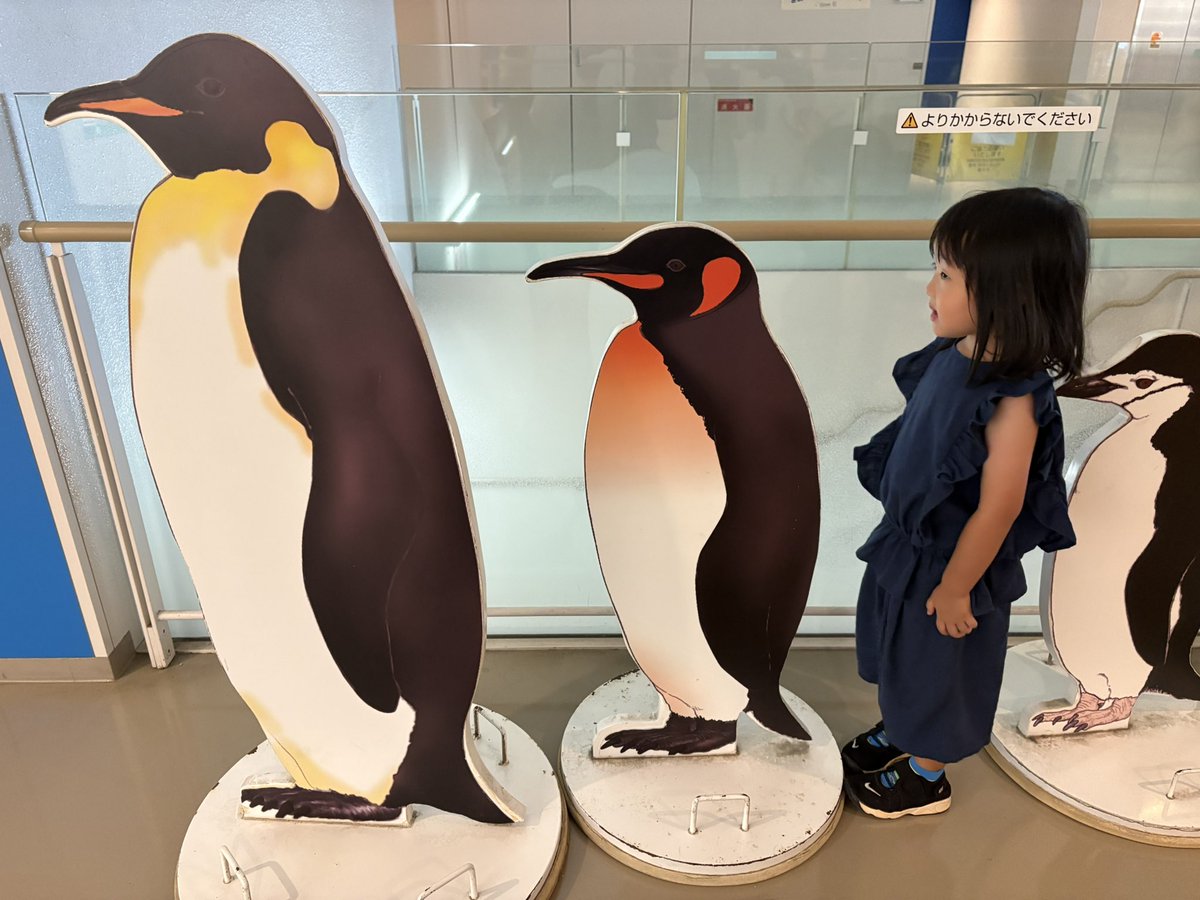 aUkp83's tweet photo. 夏休み🌻８月の思い出
まだ上旬、、、体力が、、、
まだ遊び足りん（中身は若い///） https://t.co/NBAtxZYIAK
