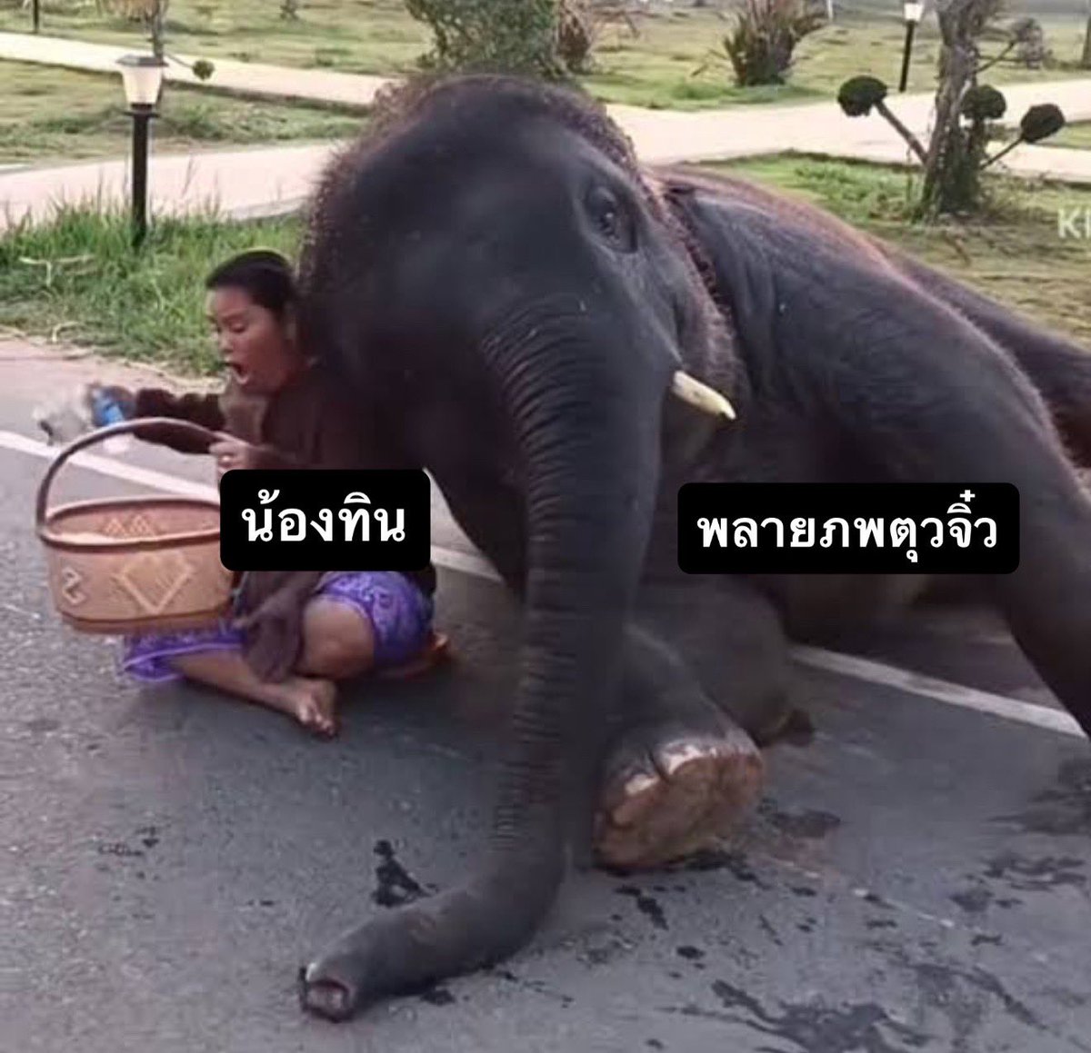 ArunRungTH's tweet photo. สะดุ้งตื่นเพราะนึกได้ว่ามีมีมที่ลืมเล่น

THE EDGE OF HORIZON EP8

#อรุณรุ่งEP8 https://t.co/gB7bLWrZu9