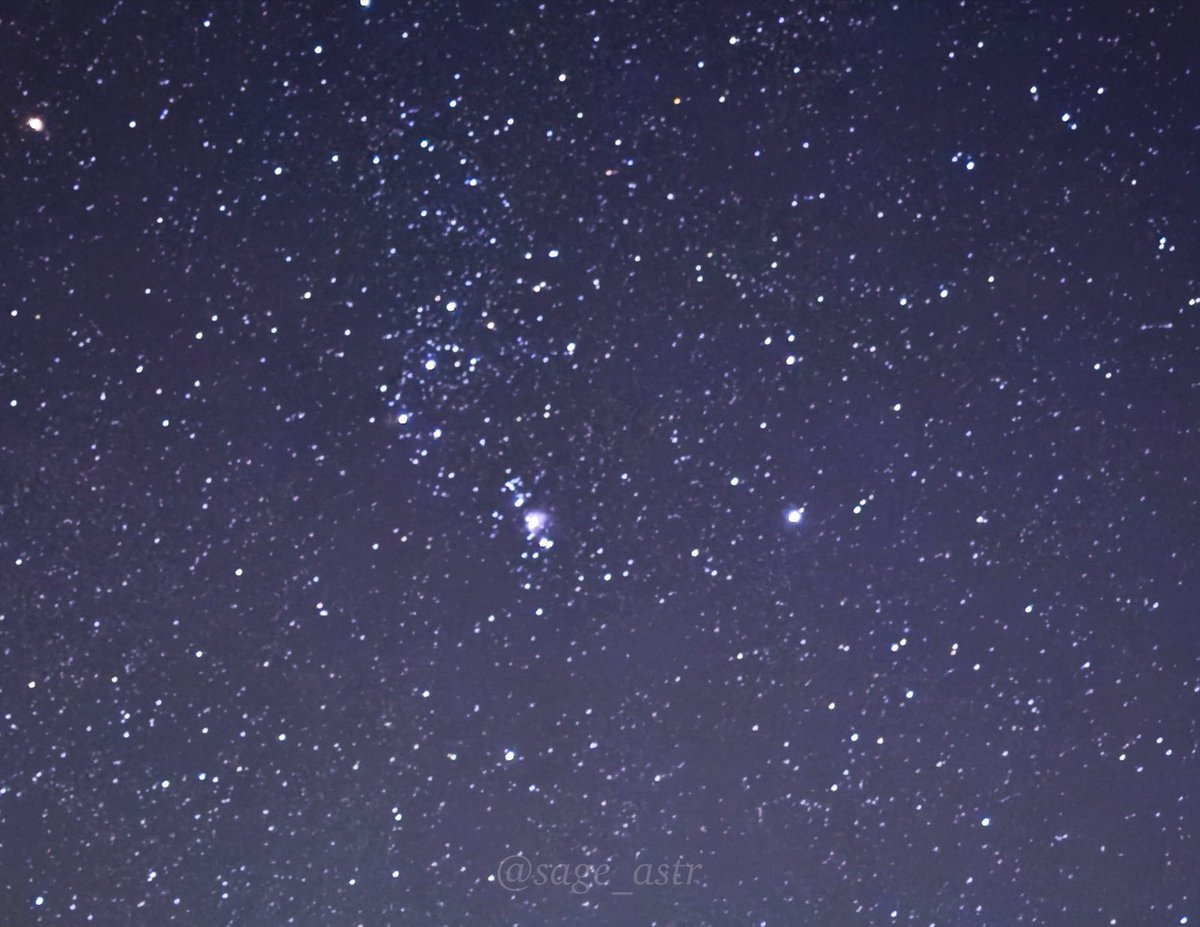 sage_astr's tweet photo. orion https://t.co/sIeEUOUl3F