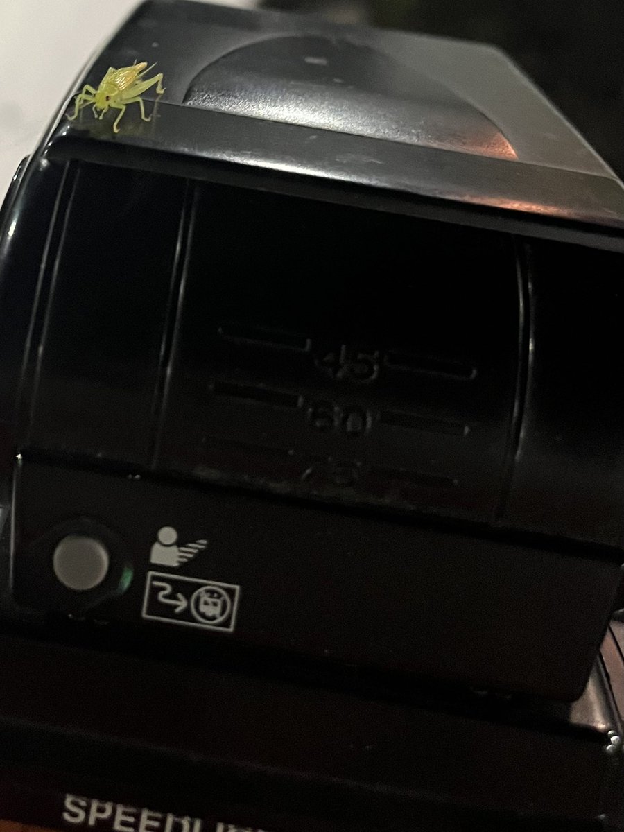 PMacDonald51's tweet photo. Had a visitor tonight @Wall_Stadium.. IYKYK.. π#StillChasing200 https://t.co/93f5BmLZ8B