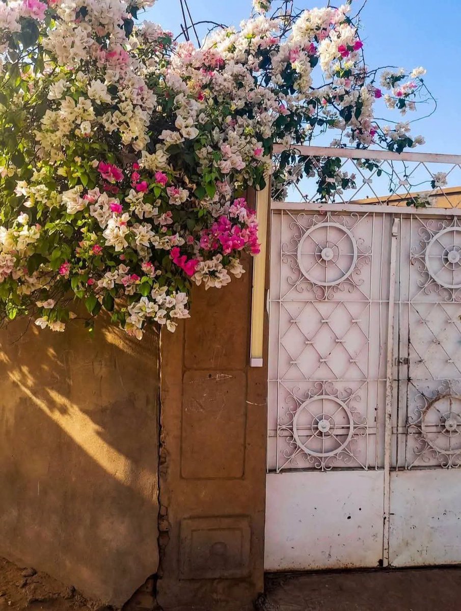 IntisarHamdok's tweet photo. ضلفة تسمح بالدخول ..التانية تبقى لهم ستار..❤️🌷 https://t.co/B7ffowyo30
