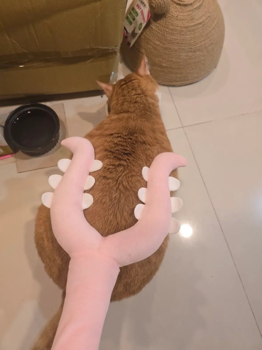 1seyke's tweet photo. 엉덩이 키메라도 토벌 성공 https://t.co/MLS6pjmbRJ
