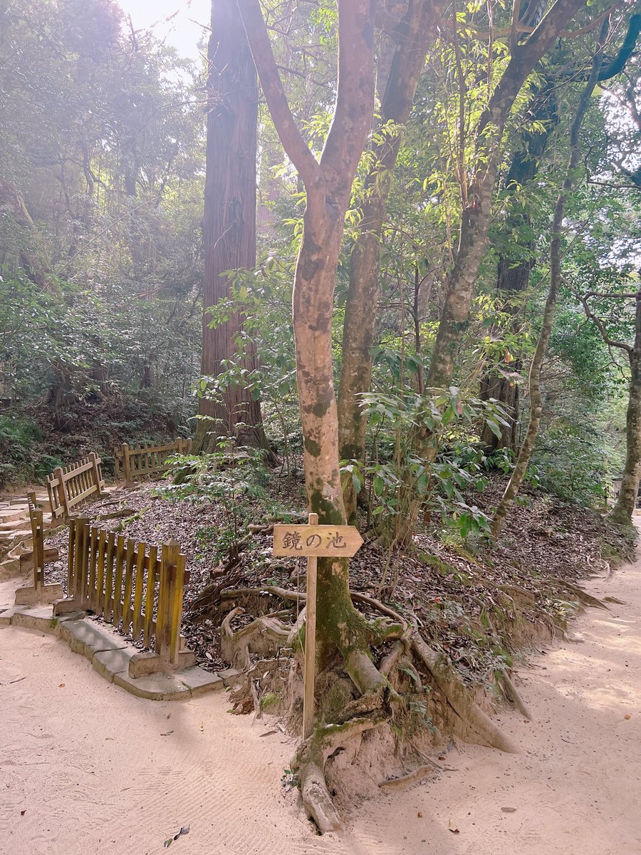 suiren002's tweet photo. ドラマばけばけを見て
行ってみたかった八重垣神社へ
入り口では不思議な光の輪が🌟
鏡の池へ紙を浮かべてみると
けっこう直ぐに沈みました😊
✨✨
#ばけばけツアー #ばけばけ
#八重垣神社 #松江 #松江旅行 https://t.co/v9SjU4hjSu