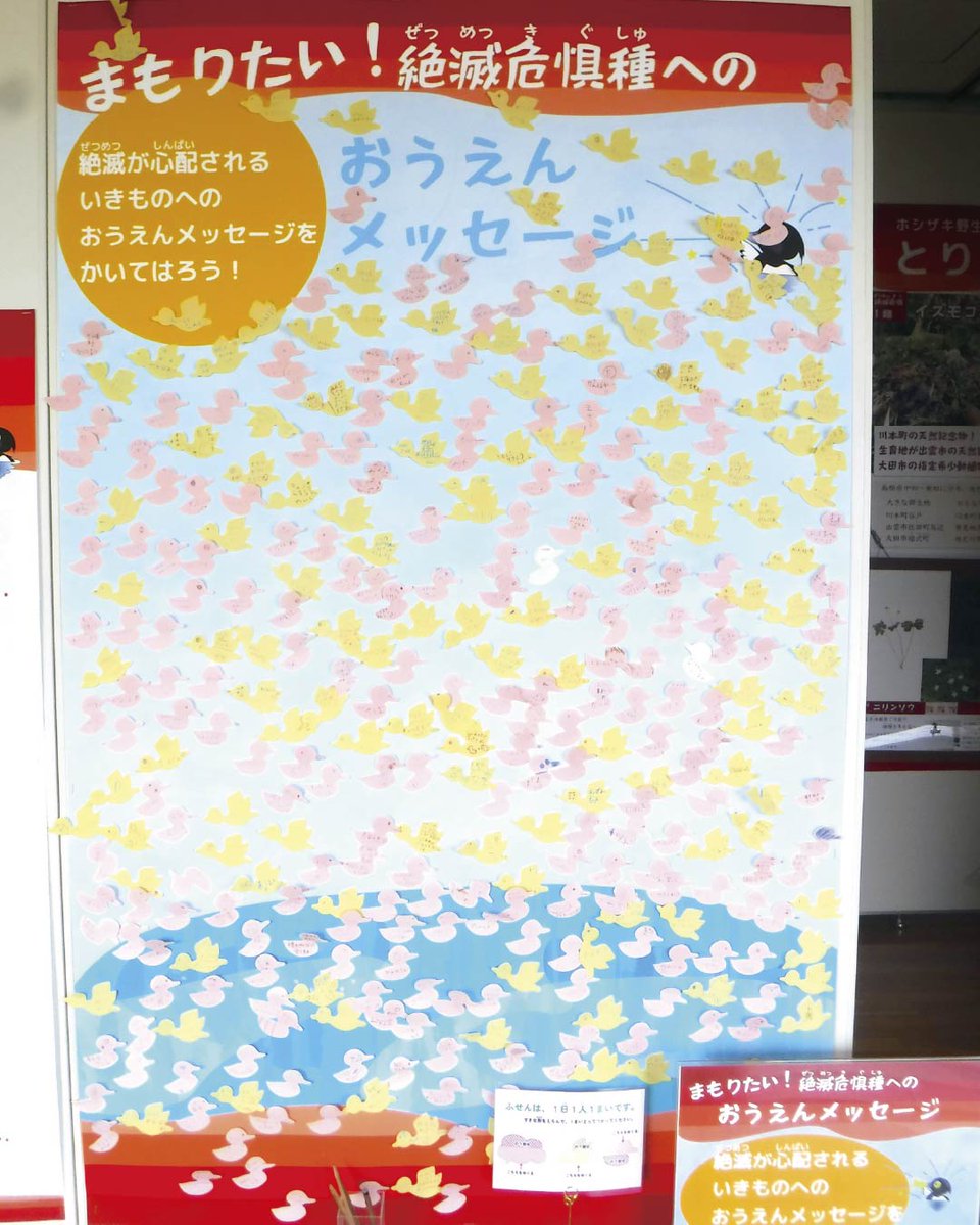 GobiusGreenpark's tweet photo. 絶滅危惧種へのあたたかい応援メッセージ、たくさん集まっています
あなたの気になる絶滅危惧種アンケートでは、コウノトリ、オオハクチョウ、コハクチョウ、ミサゴ、オオヨシキリ、ゲンゴロウ、ハッチョウトンボ、オニバス、イズモコバイモなどが票を伸ばしています🌱
#宍道湖グリーンパーク #企画展 https://t.co/jSn5vMAPGP