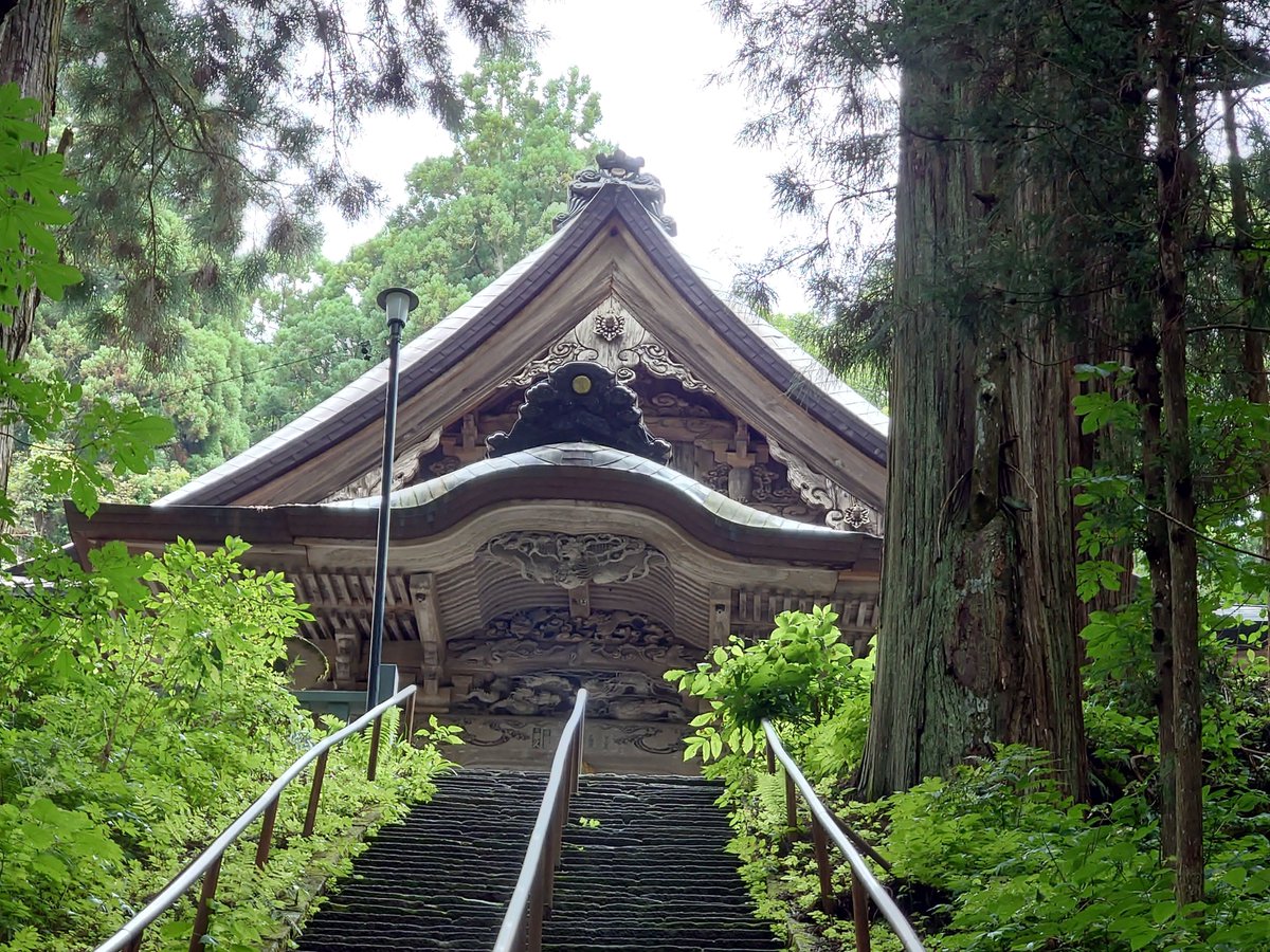 oldline1226's tweet photo. 階段急杉大神社 https://t.co/SLRBshI04x