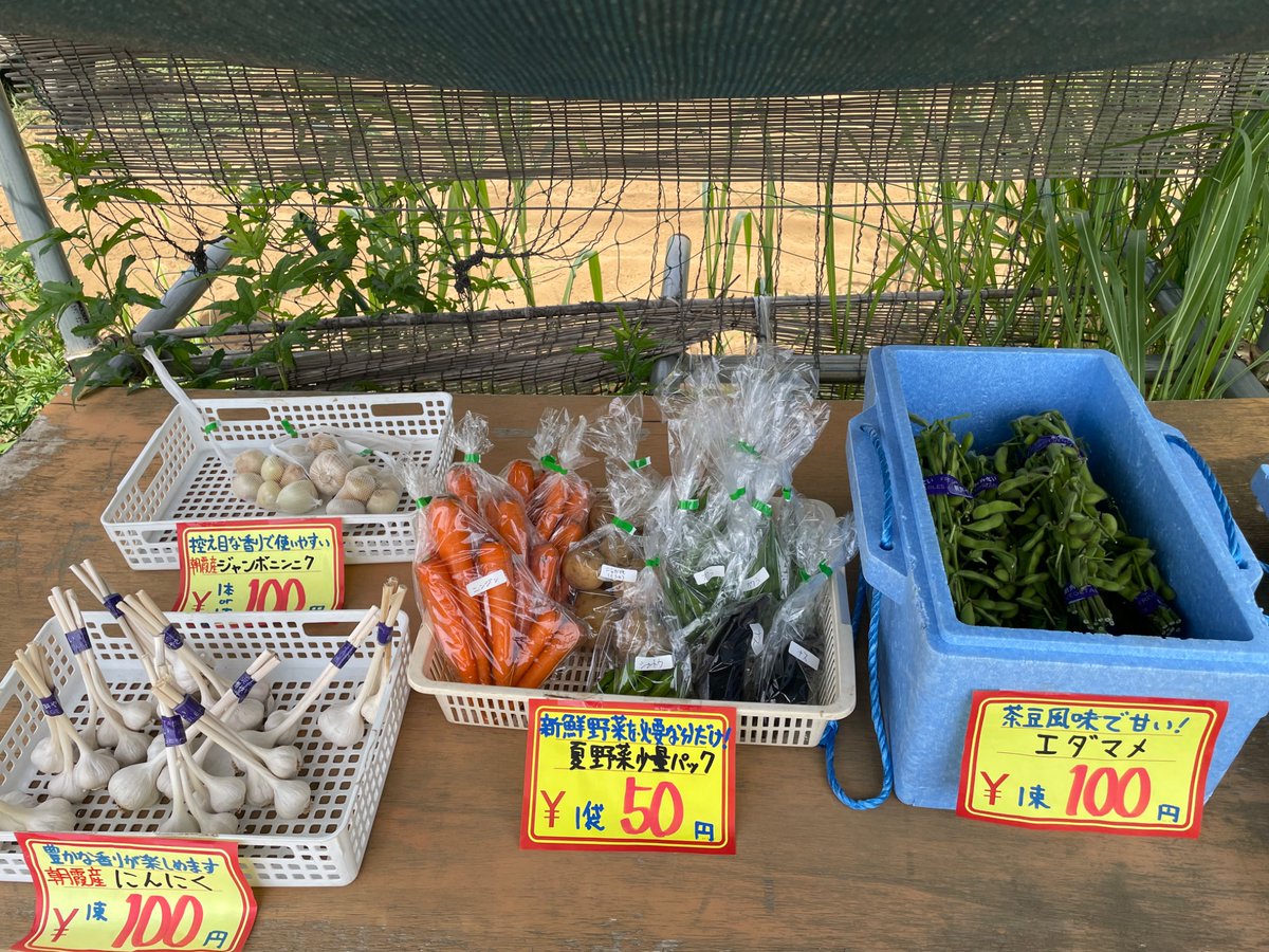 MujinYasai's tweet photo. こんにちは！
本日も夏野菜がお店に並びました。
お近くにお越しの際はぜひお立ち寄りください。
今日も営業開始です！
#朝霞市 #野菜 #直売所 #夏野菜 #オクラ #ニンジン https://t.co/XadZDNrIk5