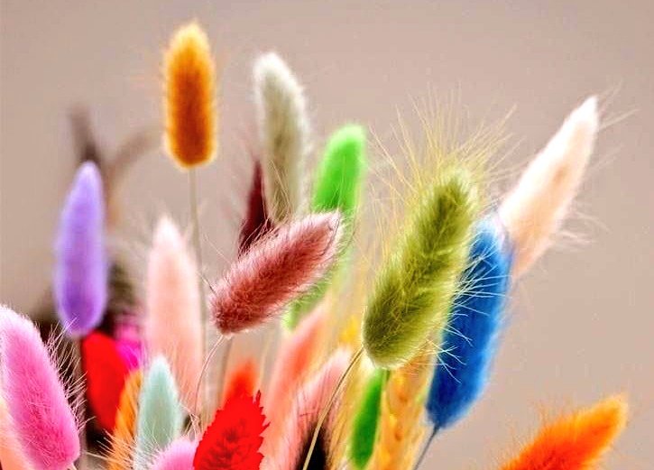 Moonchi59342120's tweet photo. @satya_chan13 Colourful Sunday to u https://t.co/rEbwuaIvLw