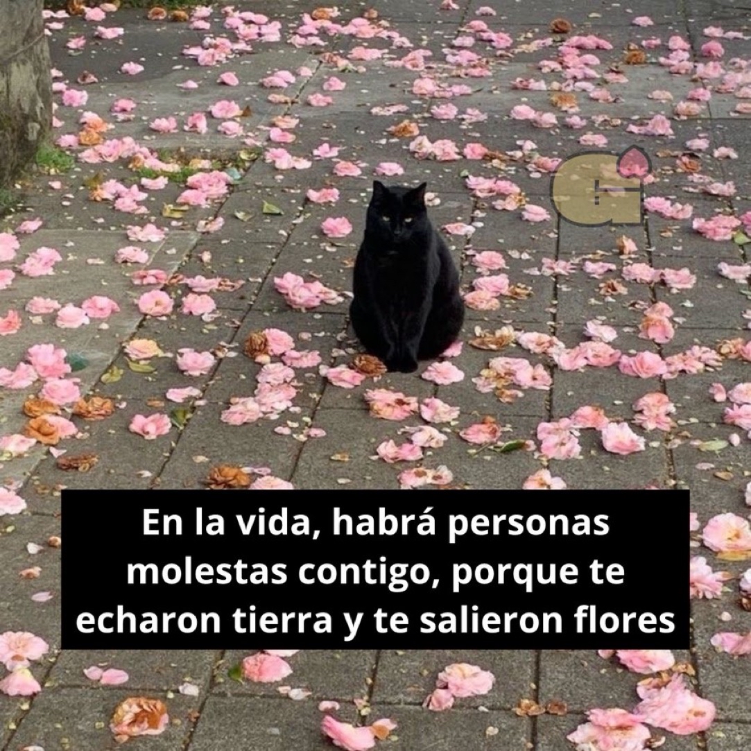 Guarromantico_'s tweet photo. Asies. https://t.co/LMKHfRlnHT