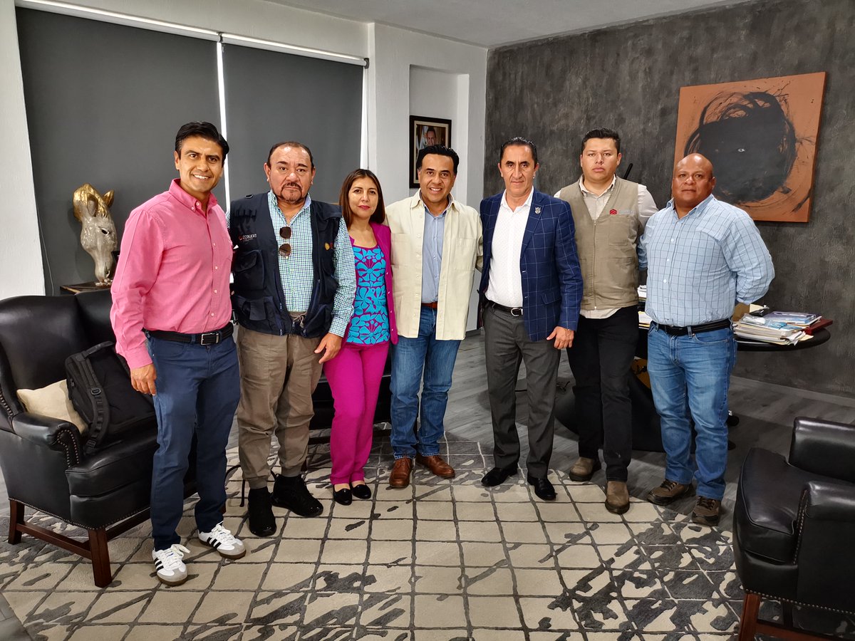 LuisBNava's tweet photo. Me reuní con Tania Libertad Argumedo Chávez, Coordinadora Regional de CONAVI.

Estoy convencido de que cuando sumamos esfuerzos, logramos mucho más por Querétaro. https://t.co/RqRYyeH6Rm