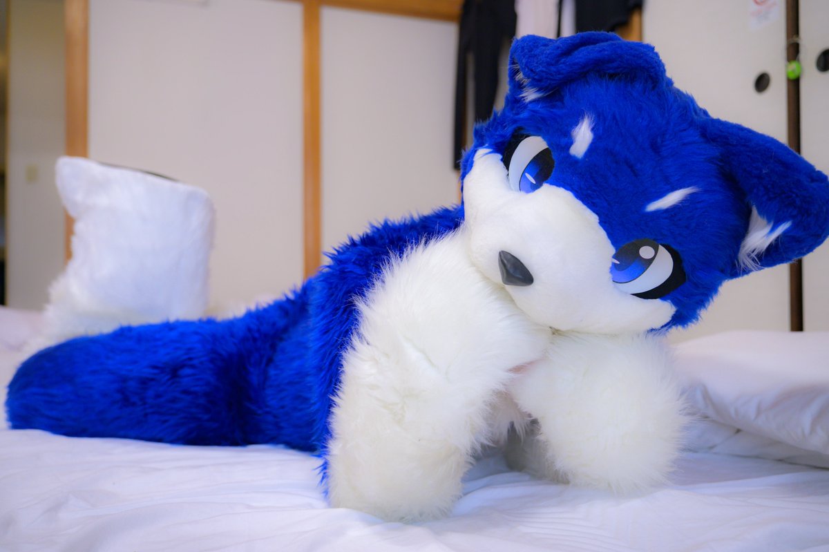 Parisian621's tweet photo. #FursuitEveryday
一緒にゴロゴロしよ？ https://t.co/sHqNu5u4kC