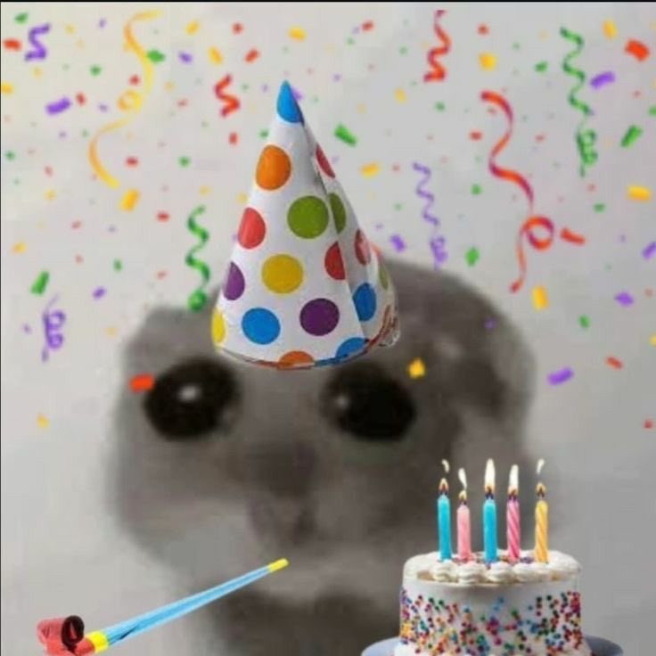 iisclover's tweet photo. it’s my birthdayyyyy🎉 im getting old:p https://t.co/ZLTW7Y6xpp