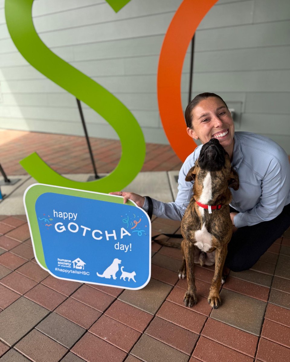 humanecharlotte's tweet photo. "We can’t even remember what life was like before we had our Churro ..Bringing Churro home was the best decision we have ever made..

..We couldn’t be more thankful for the decision we made a year ago and are grateful for the amazing work HSC does." https://t.co/ggof6FOXI6