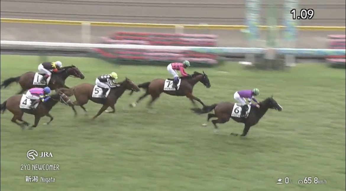 alainfoals's tweet photo. 8/9
アルアイン産駒のイスクメルが新潟2R 2歳新馬(芝1200m)を見事に勝利しました。

関係者の皆様おめでとうございます。

#上がり最速 https://t.co/VNJMzaaZch