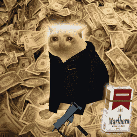cashcatss's tweet photo. golden cashcat bull https://t.co/Xqx5LRAA4x