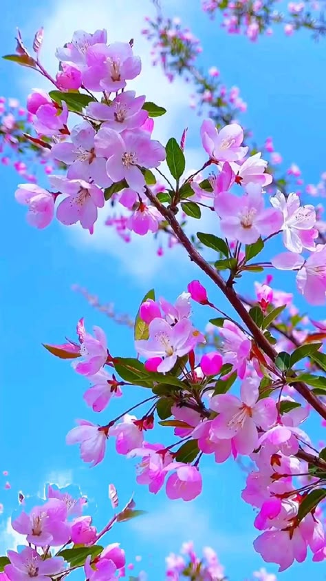 gee_gee2's tweet photo. الرقص على الإيقاع لا يحتاج أن يبدو جميلًا، فقط أن يناسب المزاج في تلك اللحظة.
AvZT https://t.co/Gr3FH1HGWt