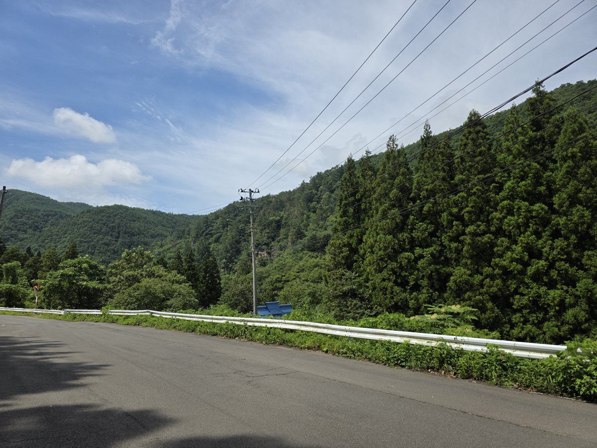 maximashuzo's tweet photo. 山の中 https://t.co/0jaORJmYal