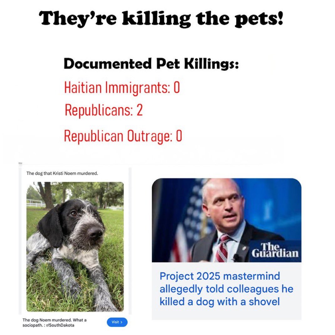 ConstanceFran's tweet photo. @grantstern Sounds like a #FAFO moment!
Even after Trump accused them of eating cats and dogs? https://t.co/NzXdYLgjxv