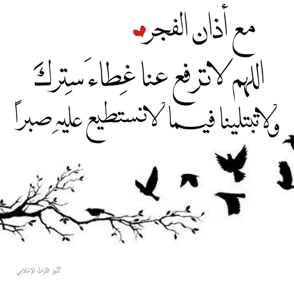 saudiformula's tweet photo. https://t.co/Vh2rztkvDR