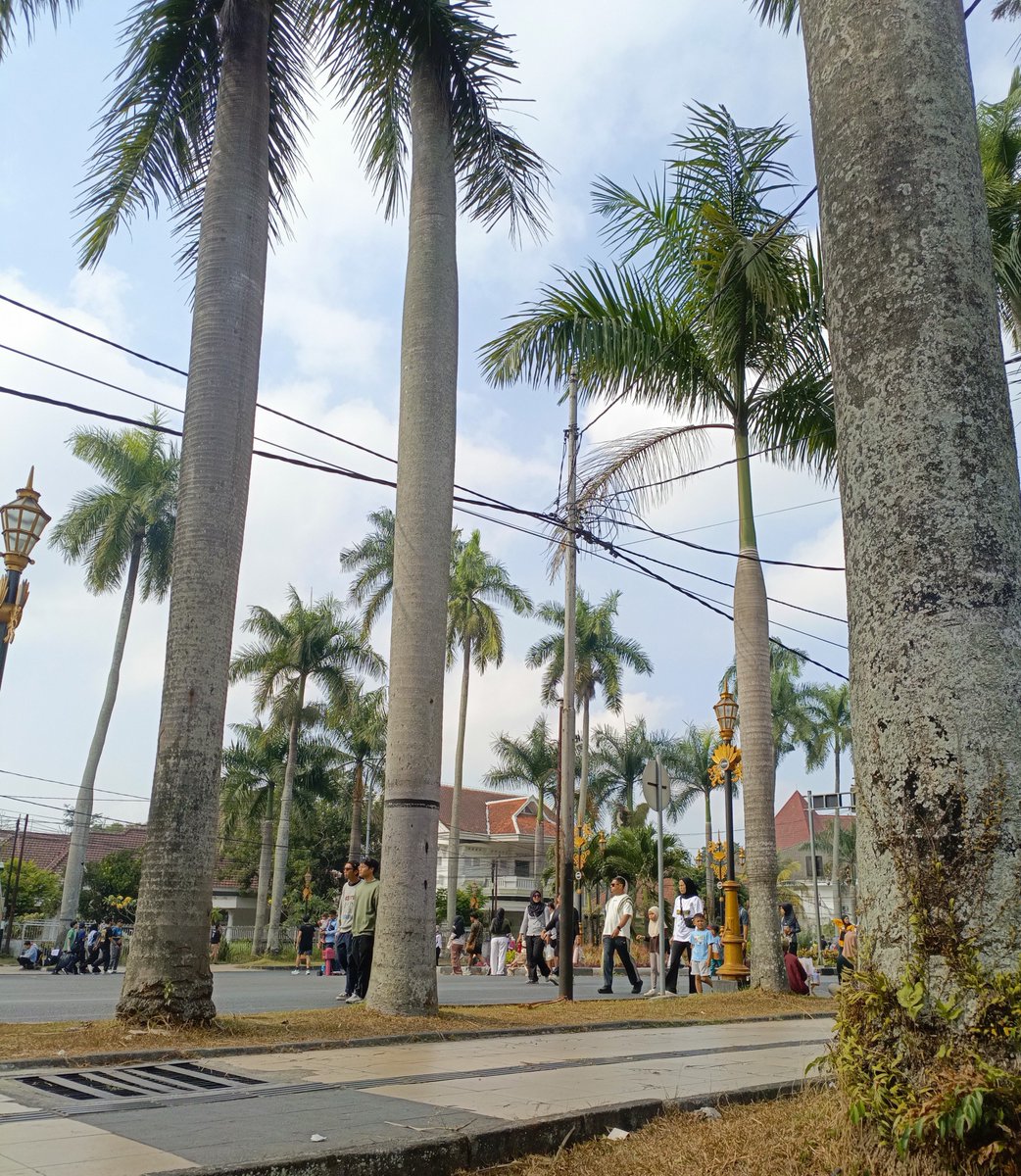 hunger_for_fun's tweet photo. Ada yg cfd kah? #gaymalang https://t.co/7UwoT3vCry