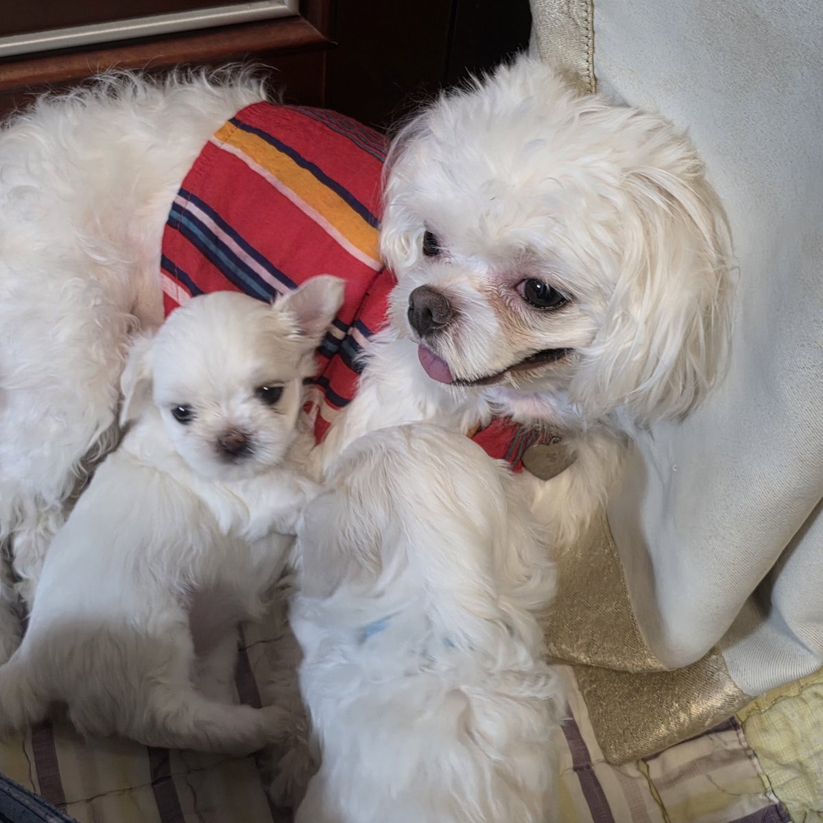 ddongraun's tweet photo. 엄마가 별이고 막내딸이 가을이야 https://t.co/oLHDzuaiEp
