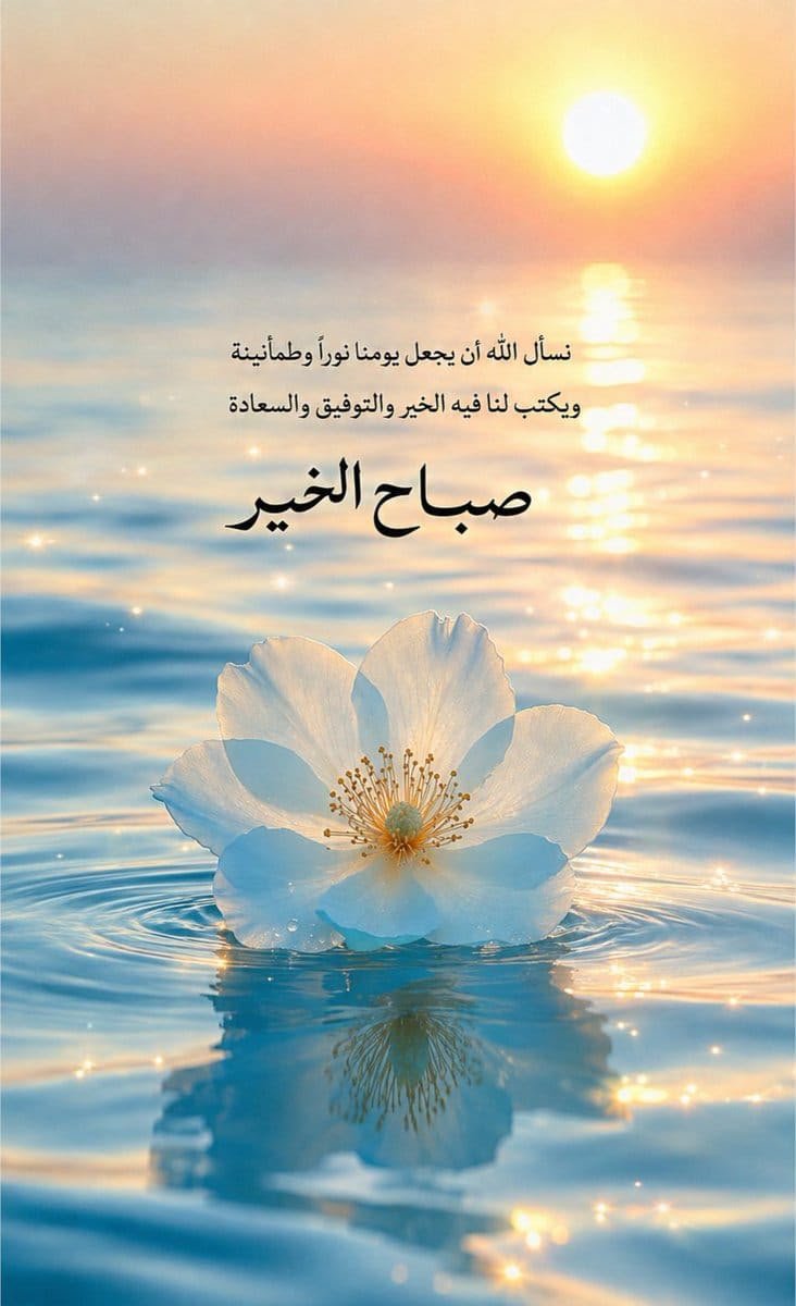 uae6070's tweet photo. https://t.co/mqW5MzXGMT