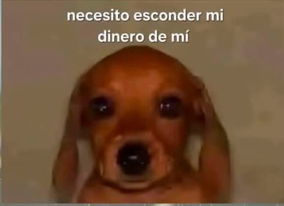 sergiohernndz's tweet photo. Cada fin de semana soy este. https://t.co/SaKXpzslqR