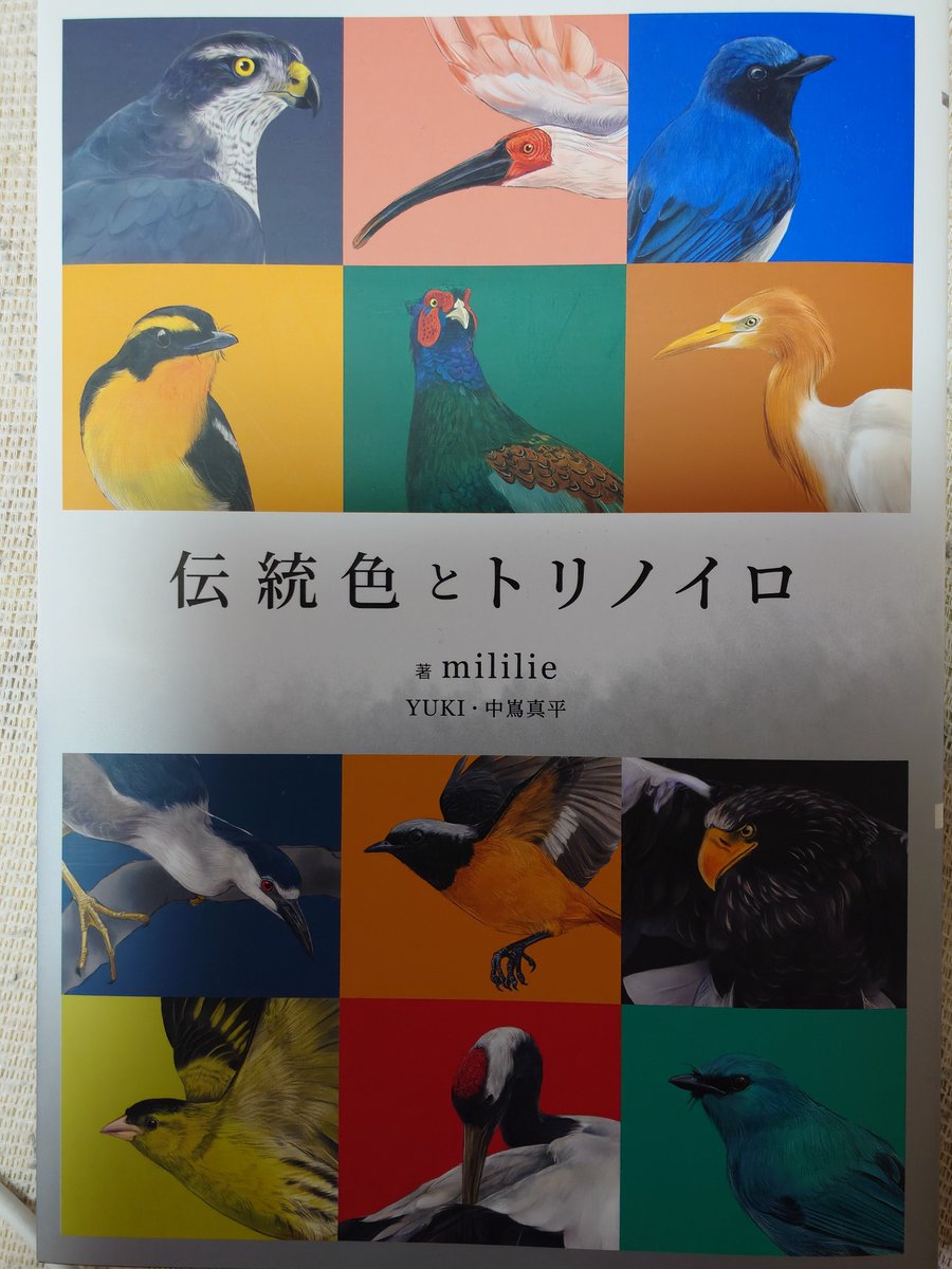 Spr5tmSJLgwKYEd's tweet photo. #伝統色とトリノイロ
鳥好きで、一応カーラーコーディネーター資格持ちの自分には発売日が待ち遠しい一冊でした。大っきな本屋行って動物、鳥関係の棚のどこを探してもない・・・検索機で探したらイラスト関係の棚にありました〜個人的に平積みにして欲しいぐらい良かったです https://t.co/ferBXBl61v