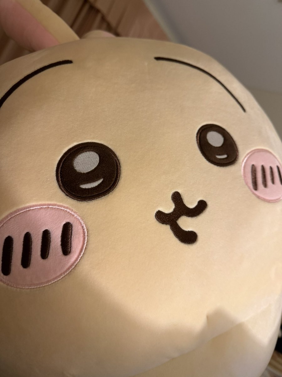 Min163's tweet photo. 圧が凄い https://t.co/J4jrkC9sTW