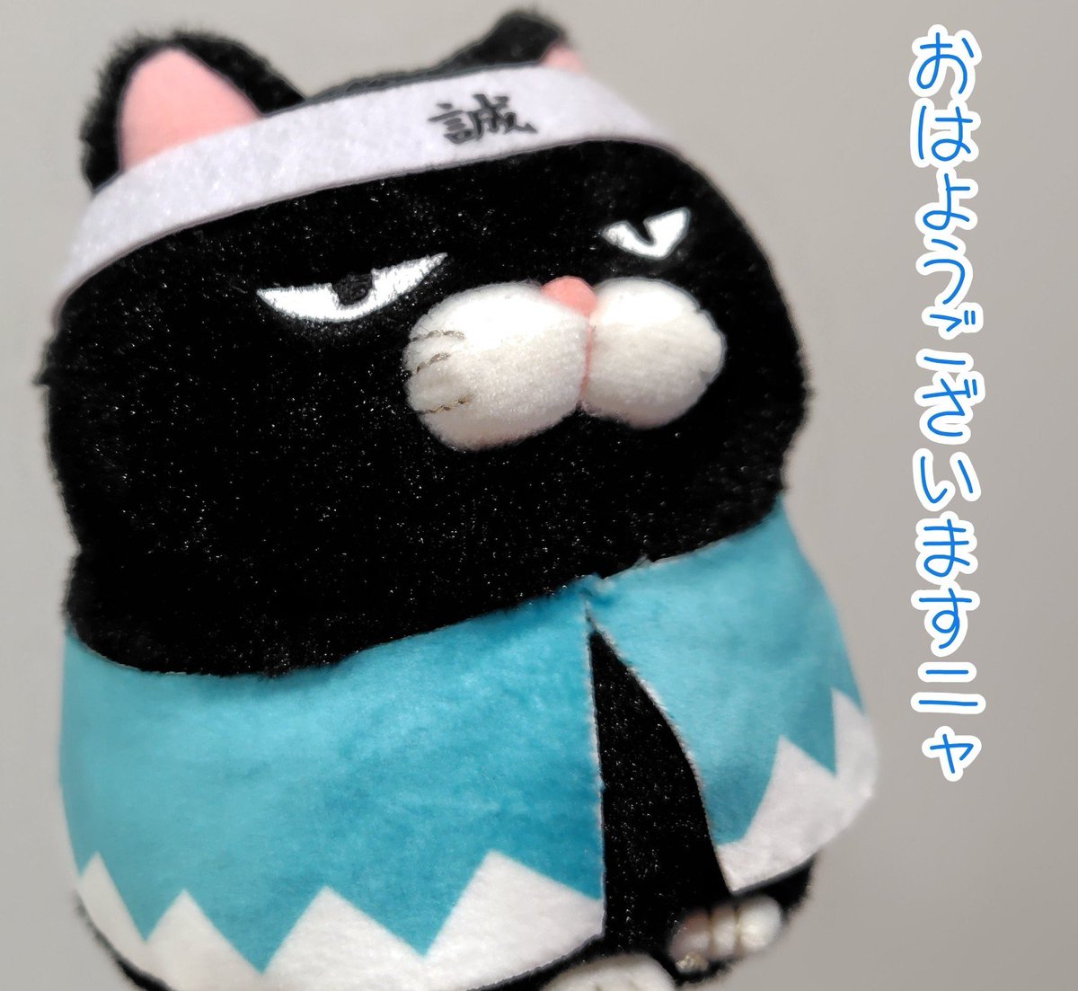 sasanqua0406's tweet photo. #ひげまんじゅう https://t.co/L92htC0bTl