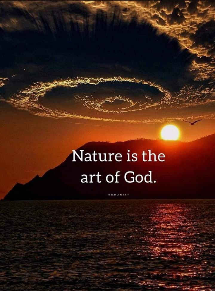 Saulito46107740's tweet photo. Nature is kind because nature is the purest expression of God on earth it used to be man but now it isnt says the Lord God. https://t.co/O5CZqwpLgX