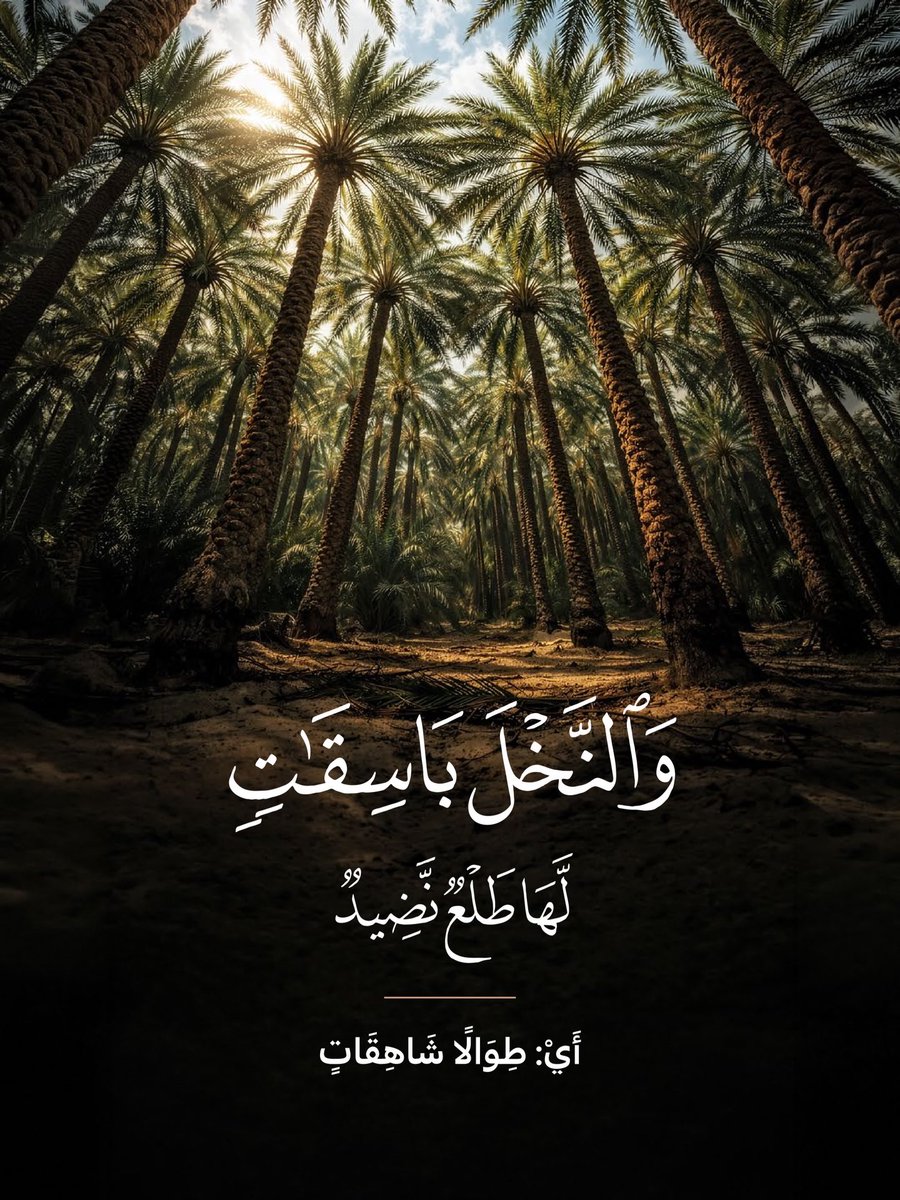 Rawai3_Quran's tweet photo. https://t.co/gNmGq6CDVQ