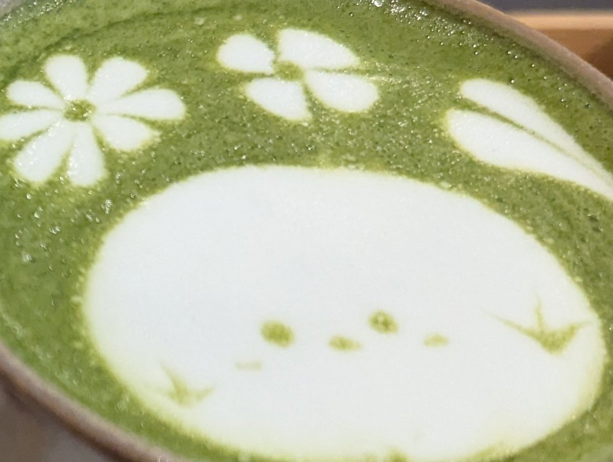 n5erv's tweet photo. 抹茶ラテ飲んできた🍵 https://t.co/DCq7sx2YMx