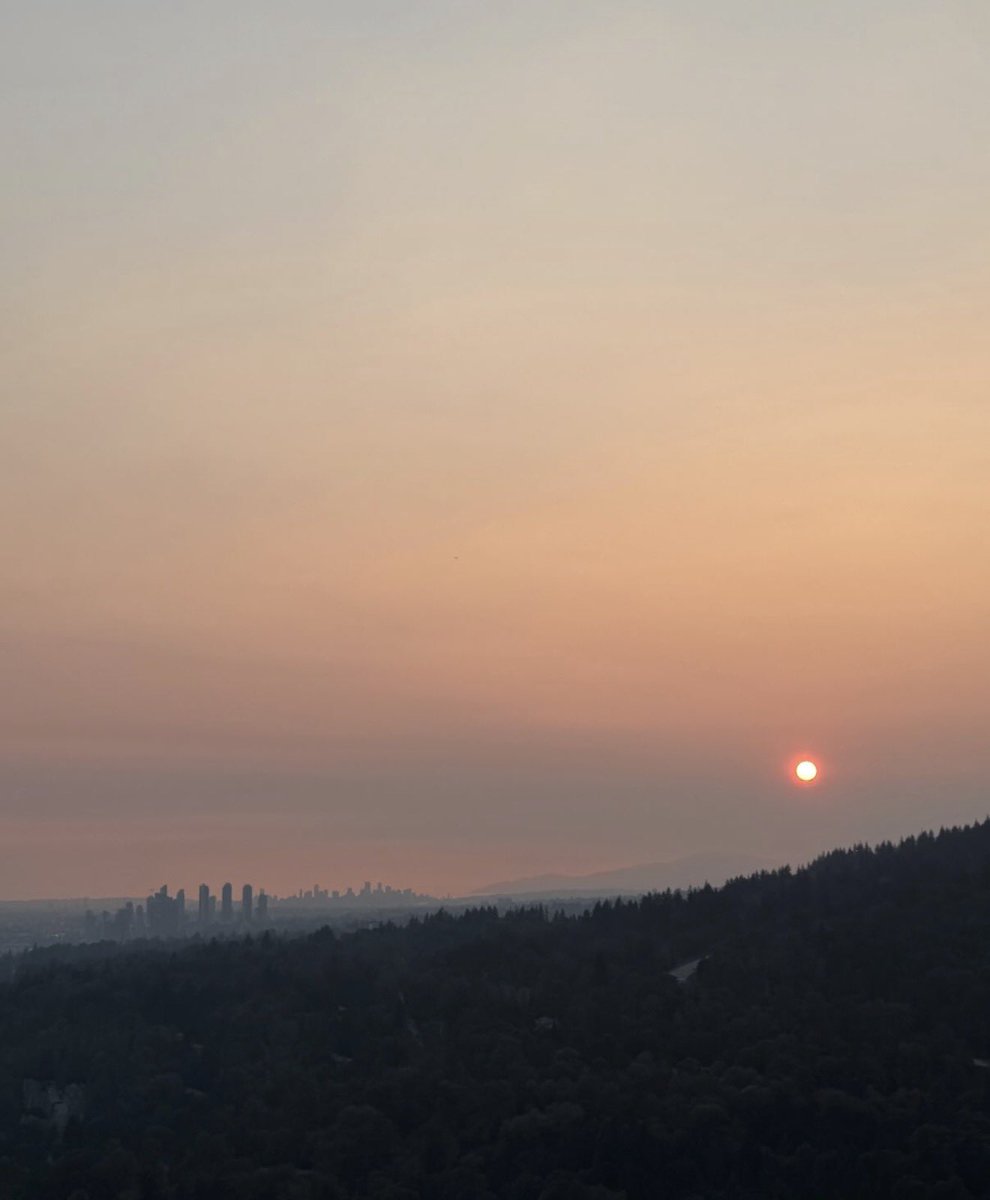 kkkKiran0's tweet photo. Some sunsets remind you to slow down, breathe, and appreciate how beautiful life can be. 
#MyClick https://t.co/wf87TRNiXq