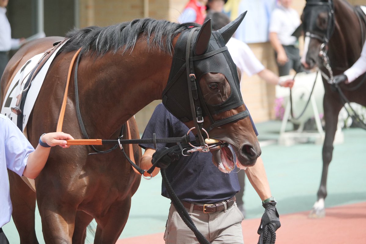 kanikama2gou's tweet photo. 新馬戦、コントレイル産駒がどちらも勝利！レニュアージュ号👏おめでとう御座います https://t.co/5wAU19gZF9
