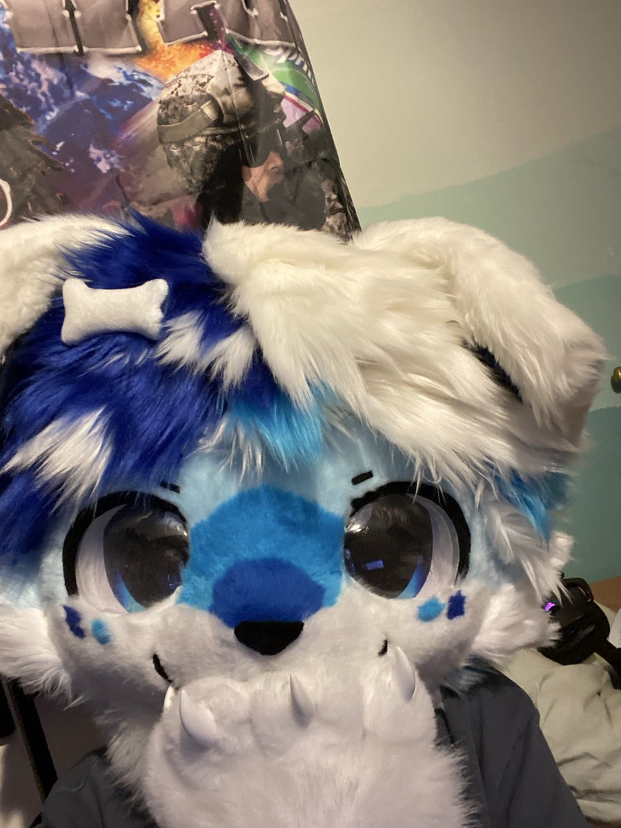 Revv_0's tweet photo. Furri
And then a billion hashtags
#furry #fuzz #fuzzy #fursuiter #fursuit #slop etc etc https://t.co/kab0Q6dIQD