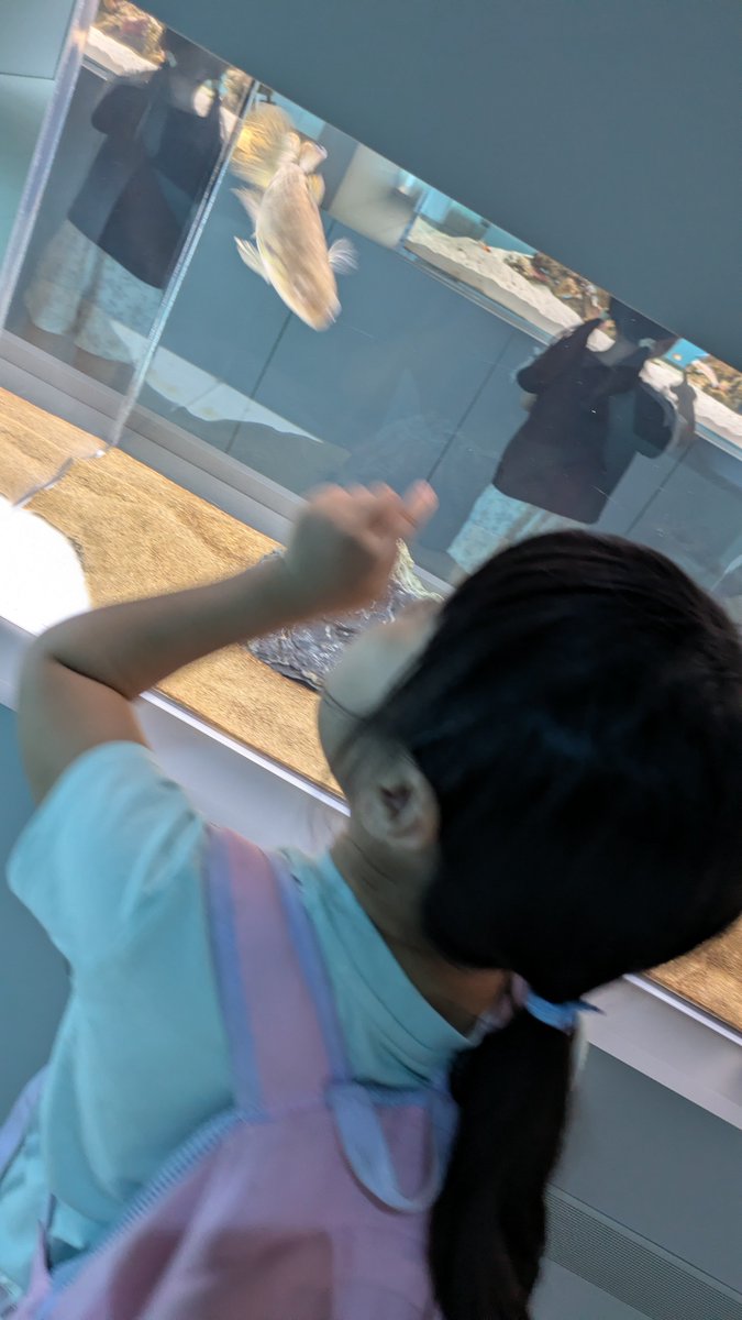xiaopanko's tweet photo. 本が読める水族館…！！！
やばい、時間見てないと飛行機乗れなくなる😅

そして、娘はなぜか「タメトモハゼ」にハマってしまい、水槽の前から離れません😅（娘が誘導するとついてくる、と言い張ってます）

これは、札幌に住んでたら、年パス買って通うなあ…！！
娘の北海道移住願望が強まってしまいそう🤣

@aoao_sapporo