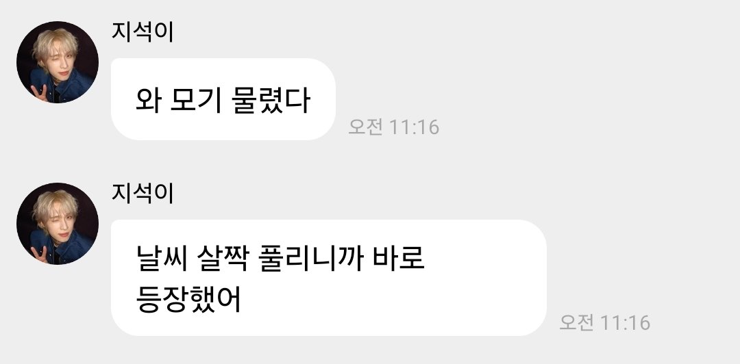 forvrronfa_'s tweet photo. 모기이샛기너어디잇어 https://t.co/R1HBRsehvq